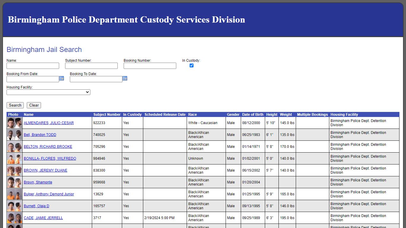 Birmingham Jail Search